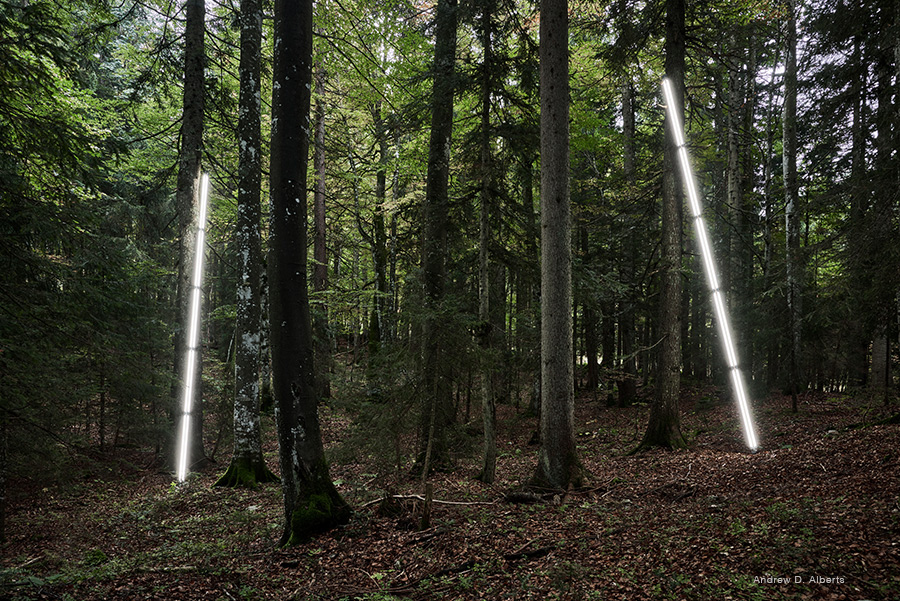 Led Leuchten Lichtinstallation Wald Anne Boissel mit Luxsystem 67.2 Bild 2