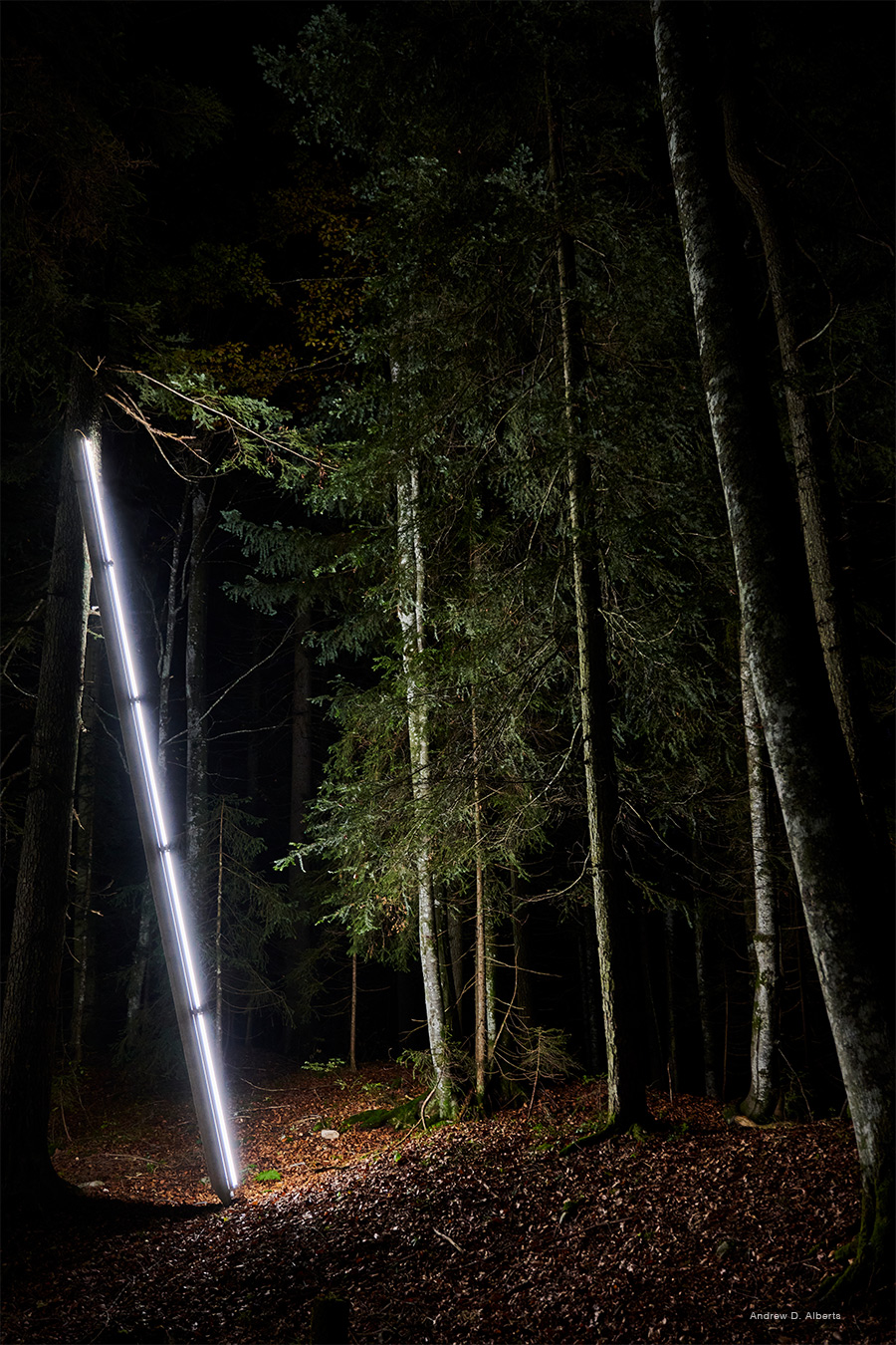 Led Leuchten Lichtinstallation Wald Anne Boissel mit Luxsystem 67.2 Bild 3