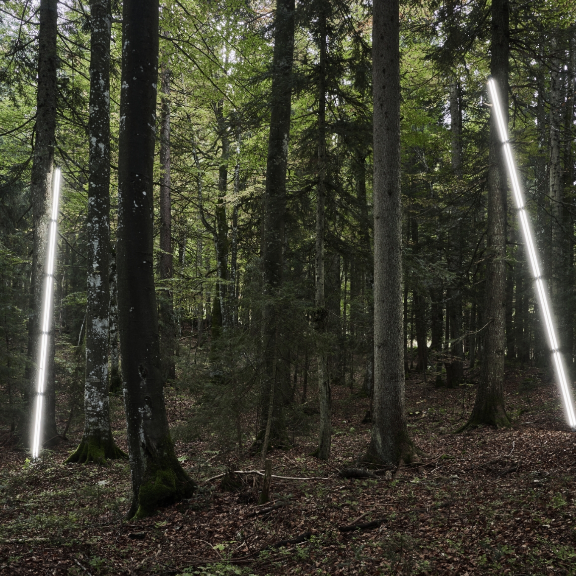 Lichtdesignerin Anne Boissel LED Leuchten Luxsystem von Hadler
