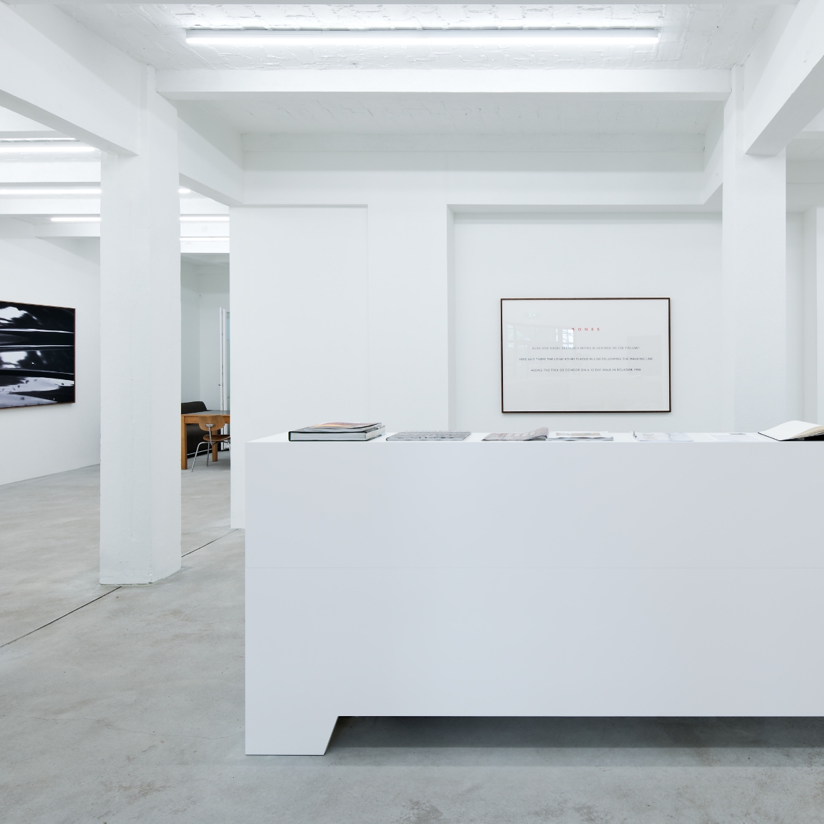 Museumsbeleuchtung Konrad Fischer LED Leuchten Luxsystem von Hadler