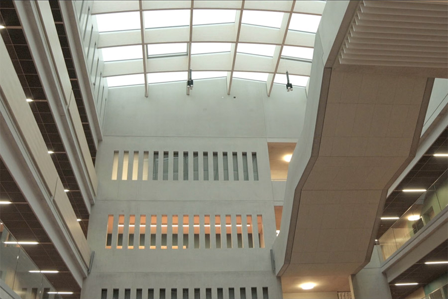 LED Leuchten Luxsystem Zusammenspiel Tageslicht Kunstlicht mit Linienleuchte Willibald Gluck Gymnasium Eingangsbereich